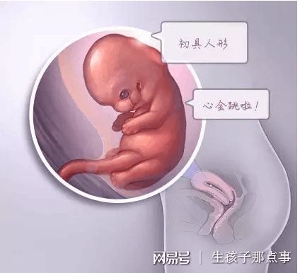 刘阳旭主任